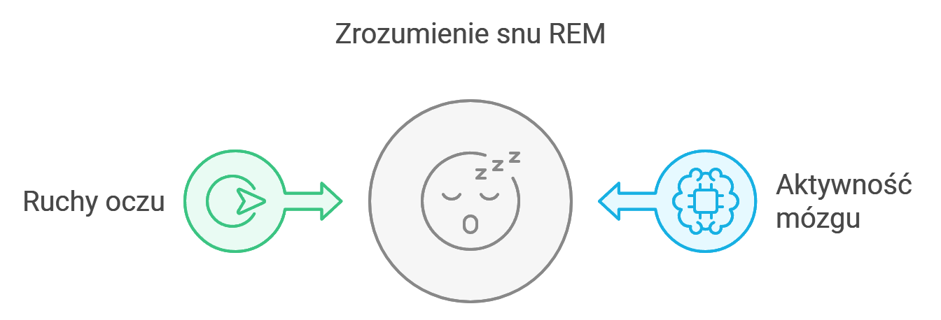 Ilustracja przedstawiająca cykl snu z wyraźnie zaznaczoną fazą REM, pokazująca aktywność mózgu i ruch gałek ocznych charakterystyczny dla fazy rem